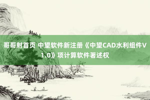 哥哥射首页 中望软件新注册《中望CAD水利组件V1.0》项计算软件著述权