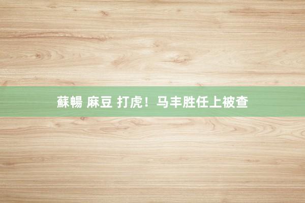 蘇暢 麻豆 打虎！马丰胜任上被查