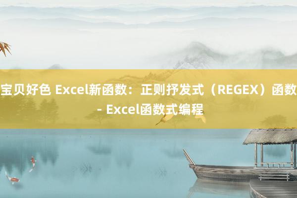 宝贝好色 Excel新函数：正则抒发式（REGEX）函数 - Excel函数式编程