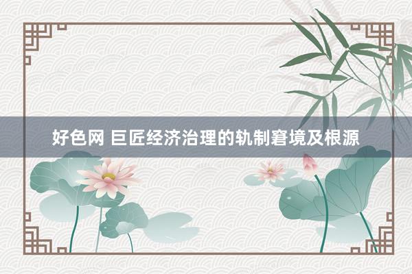 好色网 巨匠经济治理的轨制窘境及根源