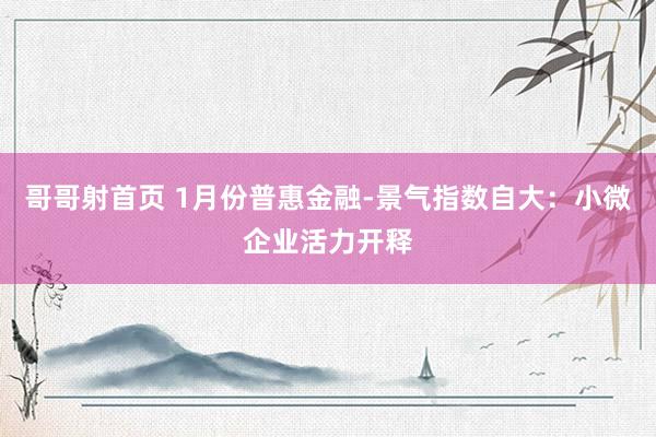 哥哥射首页 1月份普惠金融-景气指数自大：小微企业活力开释