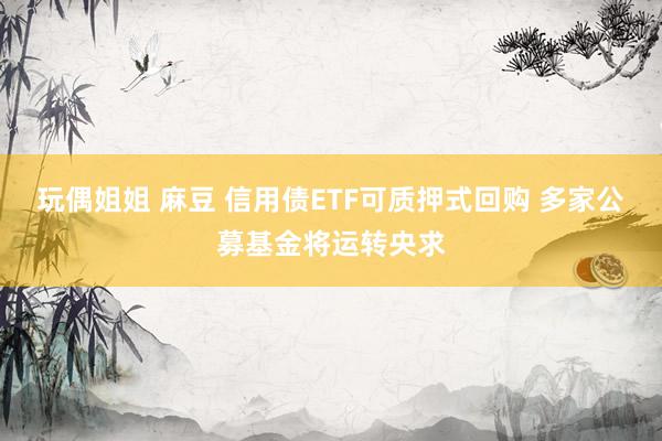 玩偶姐姐 麻豆 信用债ETF可质押式回购 多家公募基金将运转央求