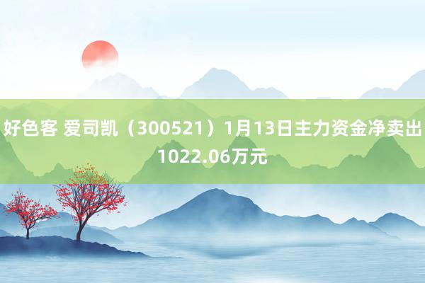 好色客 爱司凯（300521）1月13日主力资金净卖出1022.06万元