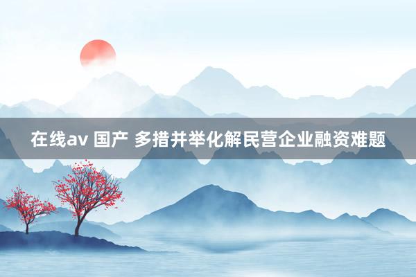 在线av 国产 多措并举化解民营企业融资难题