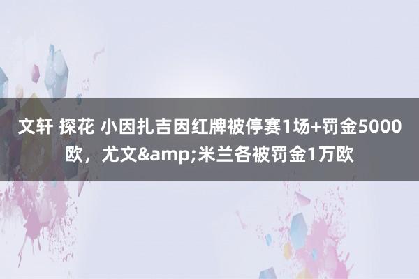 文轩 探花 小因扎吉因红牌被停赛1场+罚金5000欧，尤文&米兰各被罚金1万欧