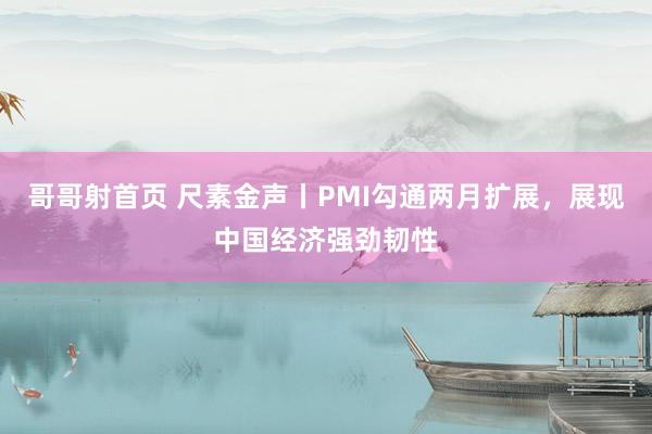哥哥射首页 尺素金声丨PMI勾通两月扩展，展现中国经济强劲韧性