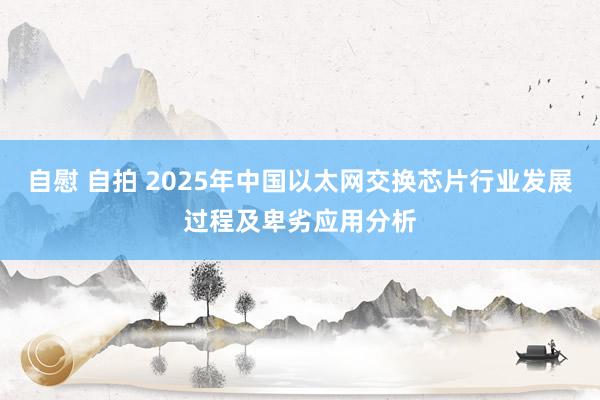 自慰 自拍 2025年中国以太网交换芯片行业发展过程及卑劣应用分析